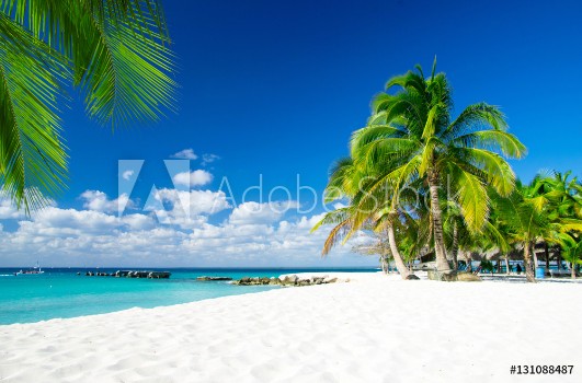 Picture of Tropical sea